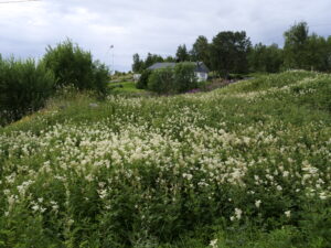 Giardino Norvegese