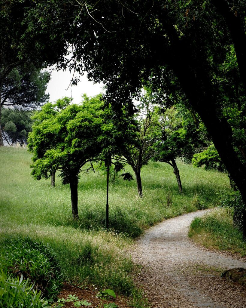 Nel parco