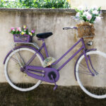 appendere_la_bici