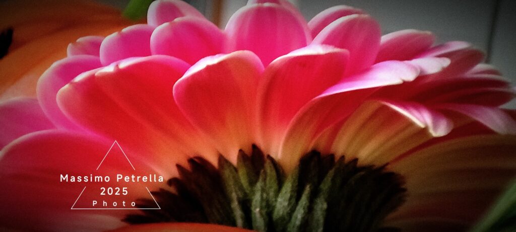 Sfumature